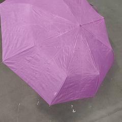 Paraplu paars, amint azt Centraal magazijn az iLost segítségével jelentette.
