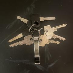 Sleutelbos, iLost-i jakinarazi zaion moduan