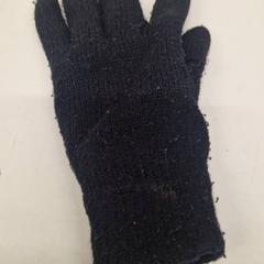 Hanske hanfschoen, som rapportert av Transdev Gooi en Vechtstreek ved bruk av iLost