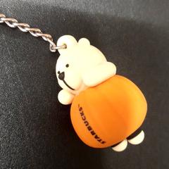 Nøkler, som rapportert av Grand Hotel Amrath Kurhaus ved bruk av iLost