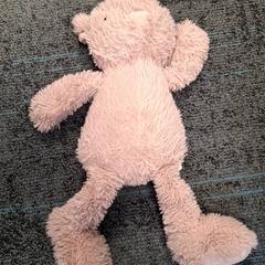 Knuffel, amint azt Gemeente Nijmegen az iLost segítségével jelentette.