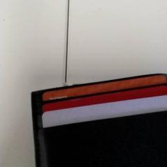 Cardholder Balan, as reported by Regio Antwerpen - Brussel using iLost