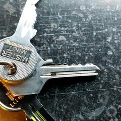 Klucze, zgłoszono przez Regio Antwerpen - Brussel przy użyciu iLost