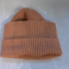 ビーニー がiLostで Diergaarde Blijdorp によって報告されました