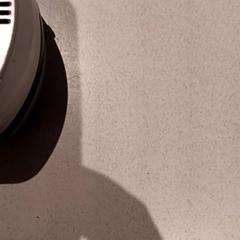 Càmera, segons ha informat De Efteling mitjançant iLost