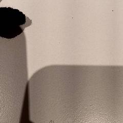 Peluche, come riportato da De Efteling utilizzando iLost