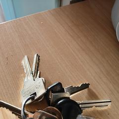 Sleutelbos, segundo informou a iLost