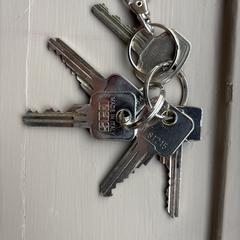 Sleutelbos, as reported to iLost