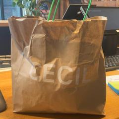İLost kullanarak Designer Outlet Roosendaal tarafından bildirildiği gibi Çanta cecil