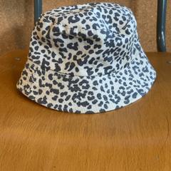 Hat, as reported by Fenix using iLost