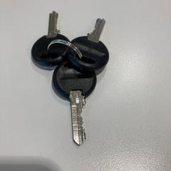 Sleutelbos zwart, zgłoszono przez Gemeente Ede przy użyciu iLost