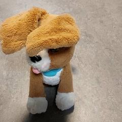 Variados - Speelgoedhond, como reportado por Centraal magazijn utilizando o iLost