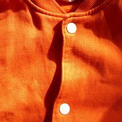 Vest Oranje, as reported by DierenPark Amersfoort using iLost