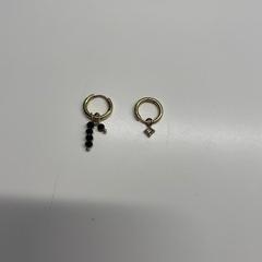 Brincos Goudkleurig, como reportado por Stad Hasselt utilizando o iLost