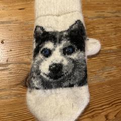 Handschoen met husky, som rapporterats till iLost