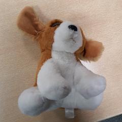 Hondje, as reported by Transdev Hoeksche Waard Goeree Overflakkee using iLost