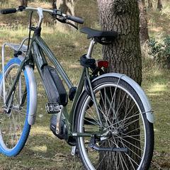 Fiets, segons s'ha informat a iLost