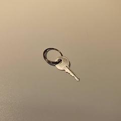 Sleuteltje Klein sleuteltje, segundo informou IKEA Groningen usando iLost