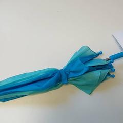 우산, iLost를 사용하여 Centraal magazijn에 보고됨