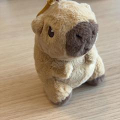 Toy & Knuffel, as reported by Pathé Groningen using iLost