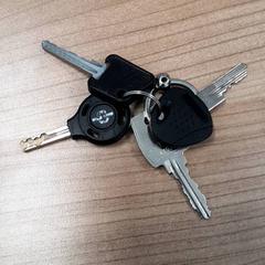 キーホルダー Zwart がiLostで Transdev Hoeksche Waard Goeree Overflakkee によって報告されました