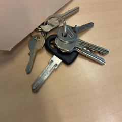 Nøkler, som rapportert av RET ved bruk av iLost