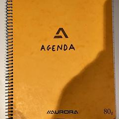 Book, as reported by Bibliotheek Neude (Utrecht) using iLost