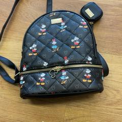 배낭, iLost를 사용하여 HTM에 보고됨