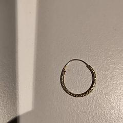 보석류 Oorbel, iLost를 사용하여 Bibliotheek Neude (Utrecht)에 보고됨