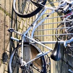 Women’s bike gazelle, as reported by Stadswerk072 using iLost