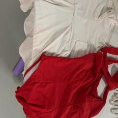 Ladeis swimming costume, segons ha informat Silver Sands Beach mitjançant iLost