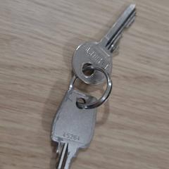 Keys 2 zilverkleurige sleutels, as reported by Gemeente Westervoort using iLost