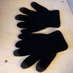 Handschuhe Zwart paar, gemeldet von DierenPark Amersfoort über iLost