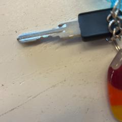 İLost kullanarak GVB tarafından bildirildiği gibi Anahtar