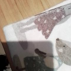 Blanket, as reported by Beekse Bergen Resorts en Hotel using iLost