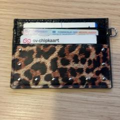 Titolare della carta, come riportato da Pathé Groningen utilizzando iLost