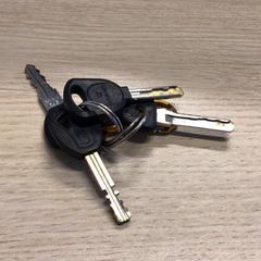 キーホルダー がiLostで Gemeente Arnhem によって報告されました