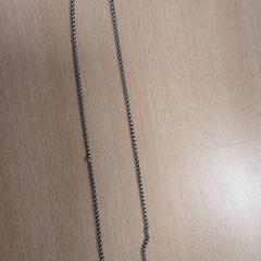 Ketting zilver، كما تم الإبلاغ عنه بواسطة Arriva Vechtdallijnen عبر iLost