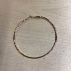 Náušnice, jak nahlášeno Gemeente Nijmegen pomocí iLost