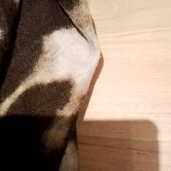 Châle, a été signalé par Beekse Bergen Resorts en Hotel utilisant iLost