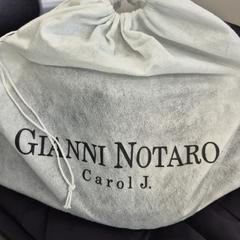 Linveske wit, som rapportert av Arriva Infoshop Enschede ved bruk av iLost