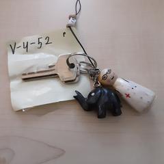 Sleutels がiLostで LUMC によって報告されました