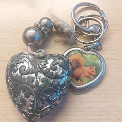 Sleutelhanger, ako bolo nahlásené EBS OV Poeldijk pomocou iLost