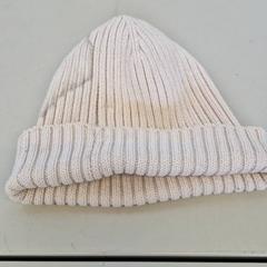 Beanie, amint azt Transdev Gooi en Vechtstreek az iLost segítségével jelentette.