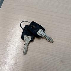 Autosleutel, zoals gemeld door IKEA Brest Guipavas met iLost