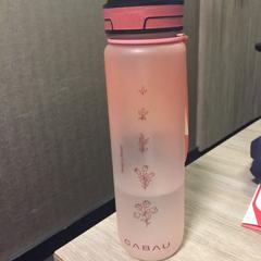 Trinkflasche Cabau, gemeldet von Van der Valk Hotel Vianen über iLost