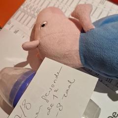 Leksak, rapporterat av Bibliotheek Neude (Utrecht) med iLost