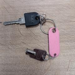 مفتاح الدراجة، كما تم الإبلاغ عنه بواسطة Pouw Vervoer عبر iLost