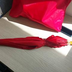 傘 - Rood がiLostで Centraal magazijn によって報告されました