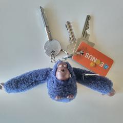 Keys an iLost gemeldet